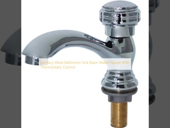 衛生用品 浴室 水槽 水槽 温度調節装置付きの水槽